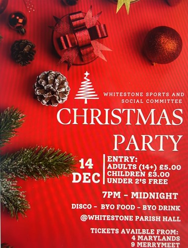 Poster for Christmas Party 2024