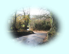 Image of a Whitestone lane